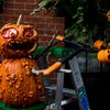 Photos: Brooklyn's Best Halloween Display Is A Bloody Pumpkin Massacre